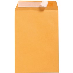  Cumberland Plain Envelope Pocket C5 162 x 229mm Strip Seal Gold Box Of 500 